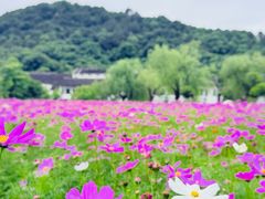 -南北湖风景区