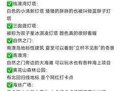 -南澳岛打卡果汁冰公司