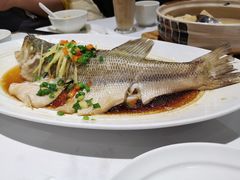 -眉州东坡(远洋未来广场店)