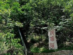 -铁山坪森林公园