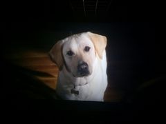 -星河国际影城(新会店)