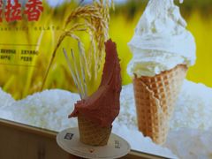 -野人先生现做冰淇淋(西安赛格店)