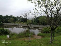 -重庆彩云湖湿地公园