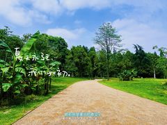 -杭州植物园