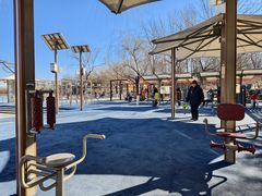 -大兴滨河森林公园