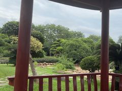 -南宁南湖公园