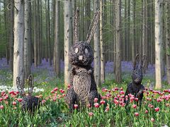 -东平国家森林公园