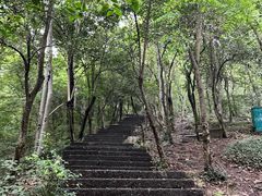 -紫金山山顶公园