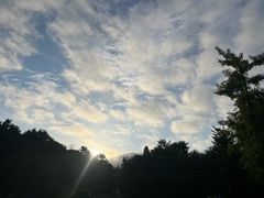 -金沙滩度假村