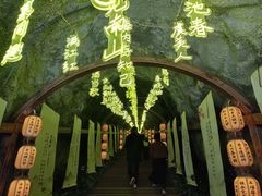 -秦岭天竺山生态文化旅游景区