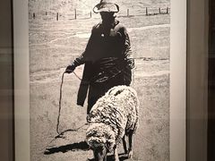 -江苏省美术馆(长江路新馆)