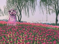 -廊坊文化艺术中心