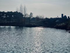 -西安浐灞国家湿地公园