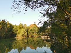 -东湖落雁景区