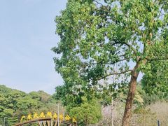 -天鹿湖森林公园