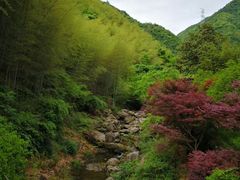 -溪口-滕头旅游景区