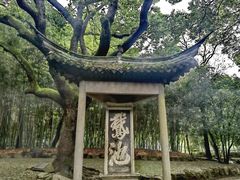 -兰亭风景区