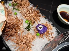 -季季山·云南野生菌火锅(上海首店)