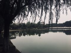 -西南政法大学(渝北校区)
