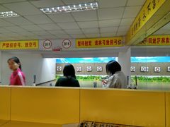 -道顺射箭·团建·骑射(张杨路店)