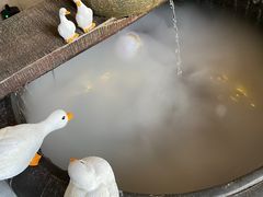 -崂山水果园农家宴(泉水鸡店)