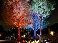 -大宁郁金香公园-停车场