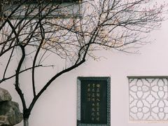 -八大山人梅湖景区