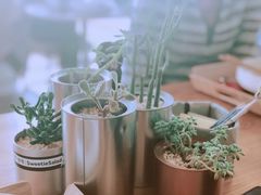 -Green Option(官舍店)