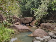 -广州白江湖森林公园