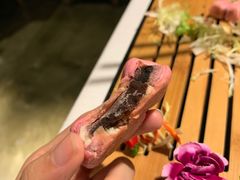 -都氏家DUSJOY(翡翠城店)