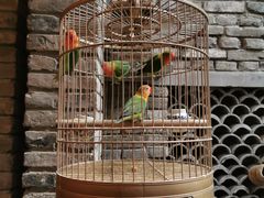 -鱼桥巷·美学川菜