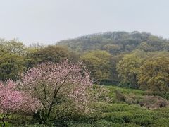 -南京市江宁方山