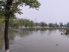 -永定河休闲森林公园