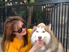 -TrueLove @ Neverland (Husky Cafe)