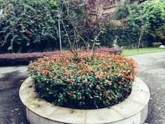 -四川大学(望江校区)