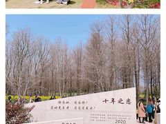 -顾村公园