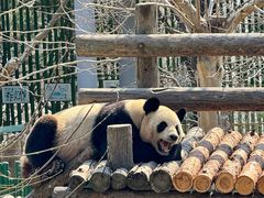 -大连森林动物园
