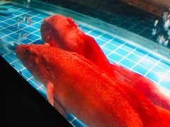 -海味世家·家常菜馆(明州里店)