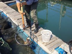 -海上驿站渔家菜馆