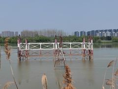 -南京眼步行桥
