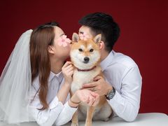 -肆俩肖像STUDIO(宝山万达店)