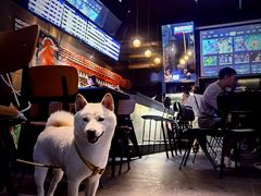 -蜜和麦精酿啤酒吧honey&malt(桐梓林店)