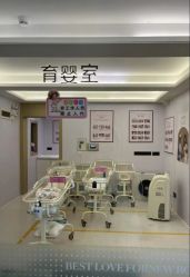 -爱帝宫月子中心(罗湖别墅院)
