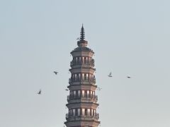 -顺峰山公园