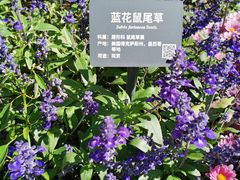 -国家植物园