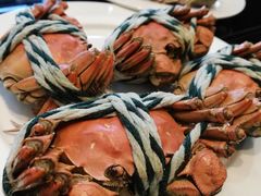 -青岛富力艾美酒店