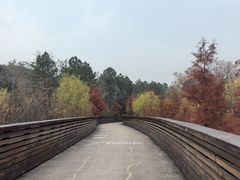 -昆山城市生态森林公园