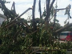 -厦门高崎国际机场-T3航站楼