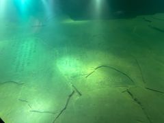 -白鹤梁水下博物馆