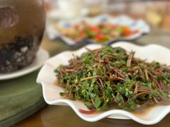 蕨菜-途中饭店(开化店)